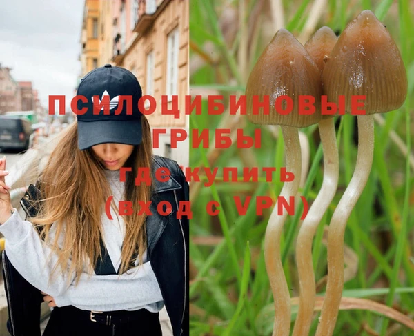 стафф Елабуга