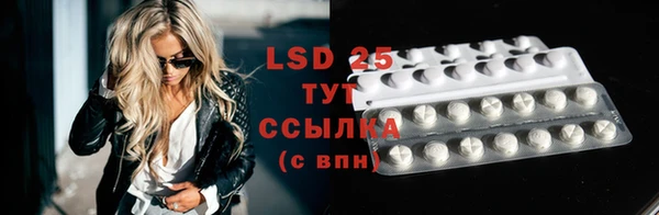 стафф Елабуга