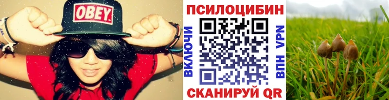 Купить где  Октябрьск  Галлюциногенные грибы Magic Shrooms 